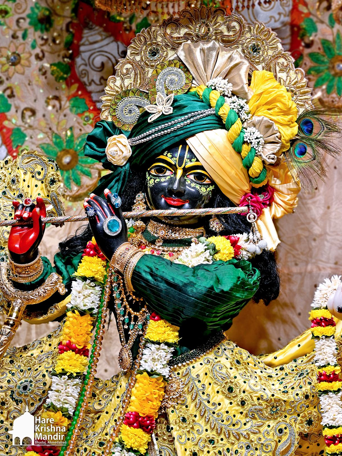 2026-02-17 Darshan